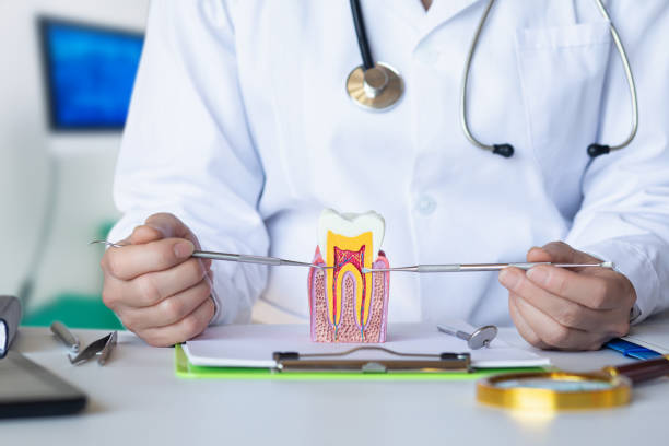 Best Emergency Orthodontic Repairs in Clarksville, TX